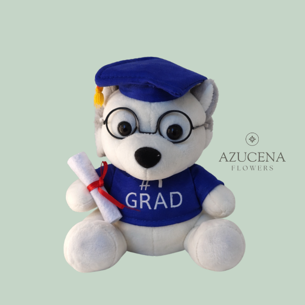 Peluche de Graduación — Azucena Florería