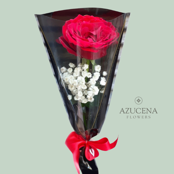 Rosa Roja con Fino Envoltorio — Azucena Florería