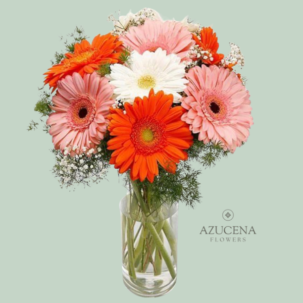 Florero con 10 Gerberas en Tonos Naranjas — Azucena Florería