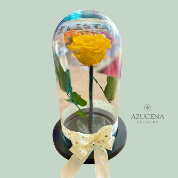 Rosa Preservada Amarilla — Azucena Florería