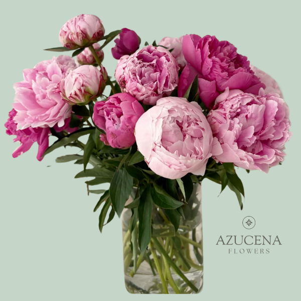 Florero con Peonías — Azucena Florería