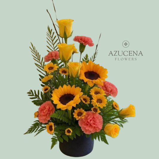 Box Claveles y Girasoles — Azucena Florería