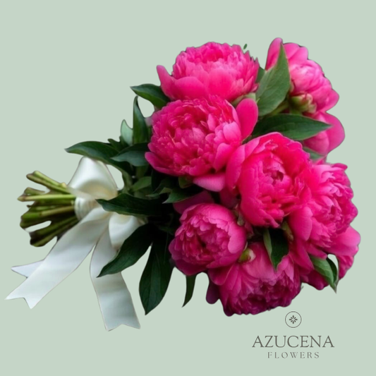 Ramo de Novia con Peonías Fucsias — Azucena Florería