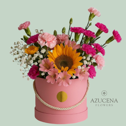 Box con Claveles y Girasol — Azucena Florería