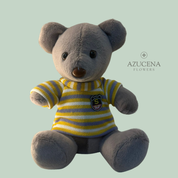 Peluche de Oso con Polera — Azucena Florería