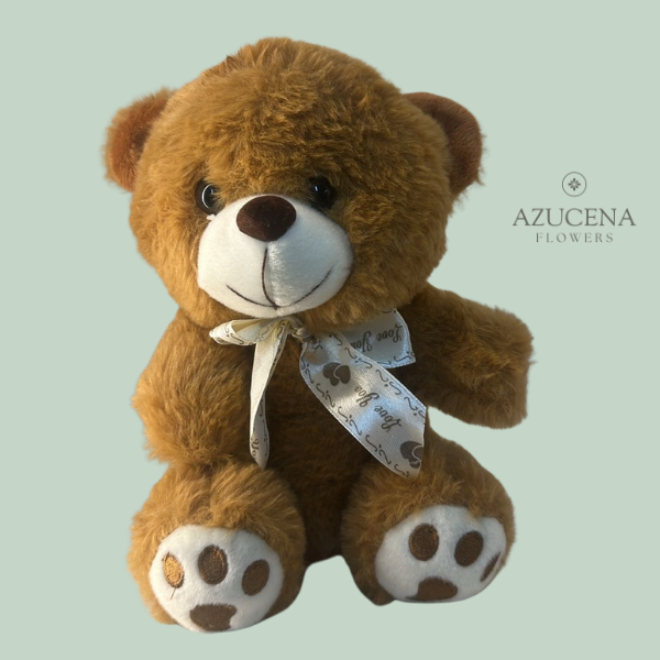 Peluche Marrón — Azucena Florería