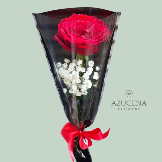 Rosa Roja con Fino Envoltorio — Azucena Florería