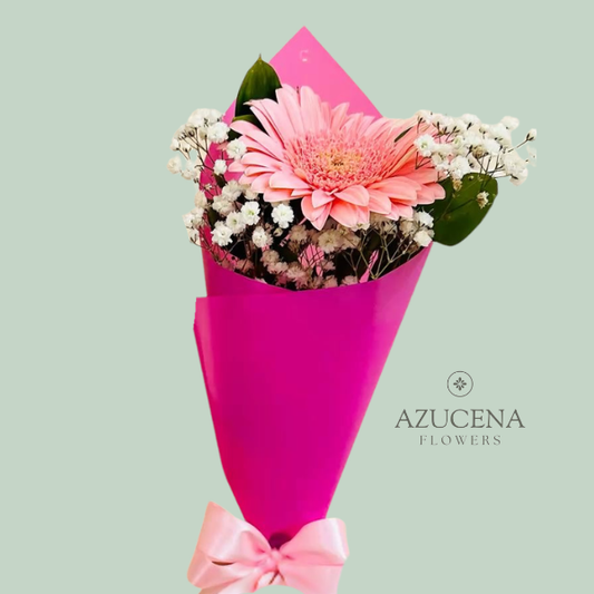 Gerbera con Fina Envoltura — Azucena Florería