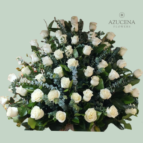 Arreglo con 50 Rosas Blancas — Azucena Florería