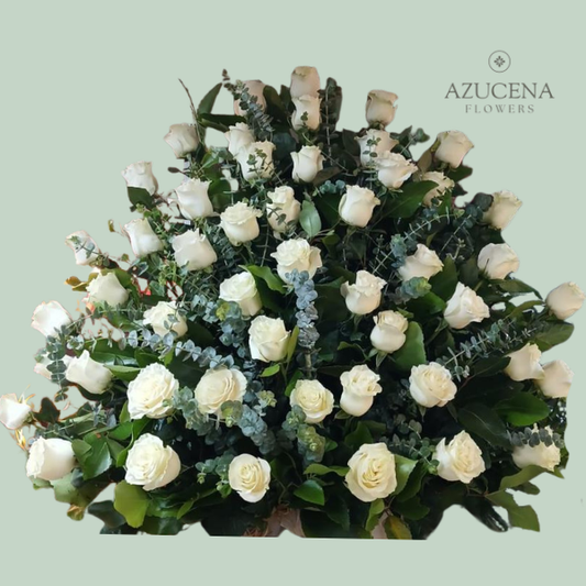 Arreglo con 50 Rosas Blancas — Azucena Florería