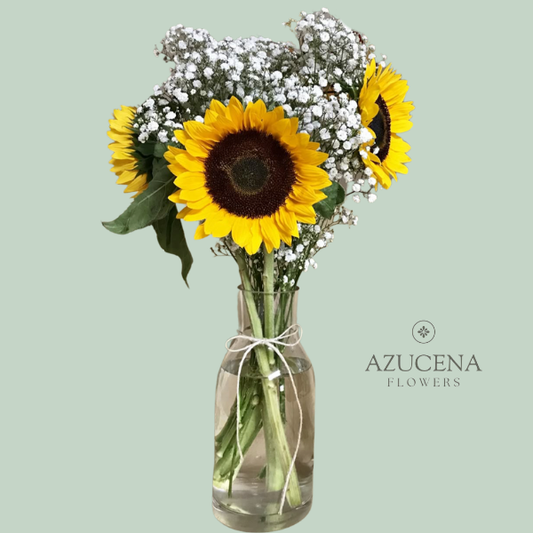 Florero con 3 Girasoles — Azucena Florería