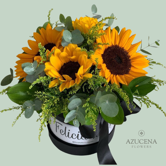 Box con Girasoles — Azucena Florería