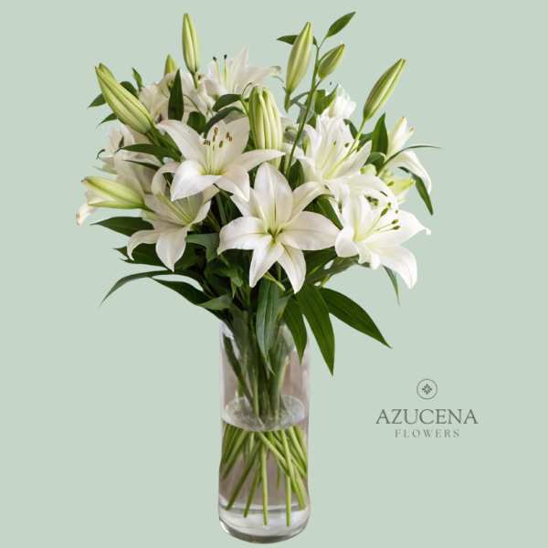 Florero con Liliums Blancos — Azucena Florería
