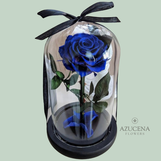 Rosa Preservada Azul — Azucena Florería