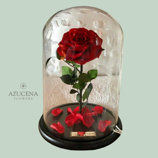 Rosa Preservada roja — Azucena Florería
