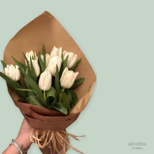 Bouquet de Tulipanes Blancos — Azucena Florería